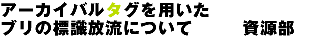 アーカイバルタグを用いたブリの標識放流について ―資源部―