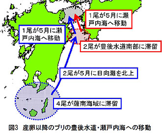 図3 産卵以降のブリの豊後水道・瀬戸内海への移動