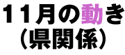 11月の動き(県関係)