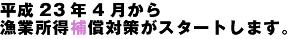 平成23年4月から漁業所得補償対策がスタートします。