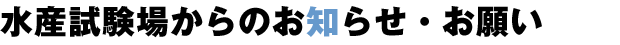 水産試験場からのお知らせ ―水産試験場―