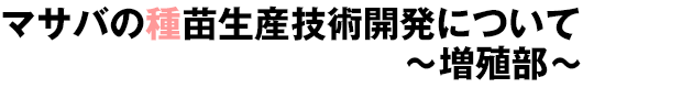 マサバの種苗生産技術開発について〜増殖部〜