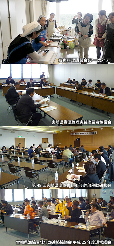 {菉tFA2013