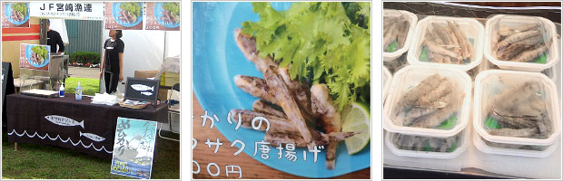 食フェスタinみやざき