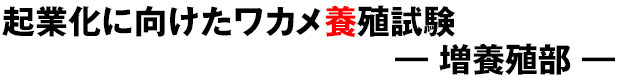 NƉɌJ{B {B