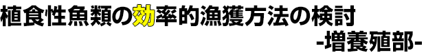 AHނ̌Il@̌ -{B-