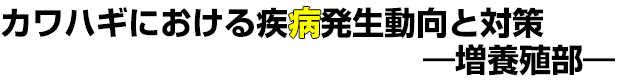 カワハギにおける疾病発生動向と対策 -増養殖部-