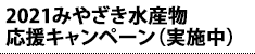 2021݂₴YLy[i{j